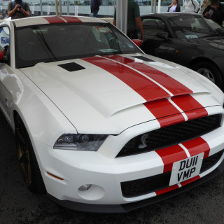 261_4338ac4e5a7590f602885d36bf089c850f32c954