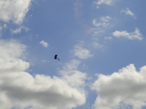 42 98a9f24aceaed19d82055f2187d5ac05fec0c145