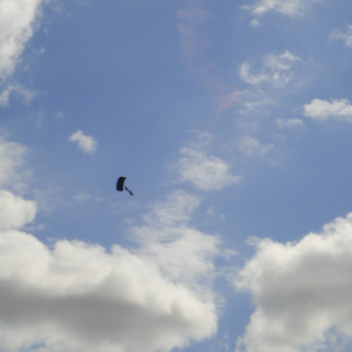 42_98a9f24aceaed19d82055f2187d5ac05fec0c145