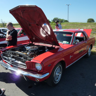 280_733ba89cc4a014badefce70e292ecc488a36c352