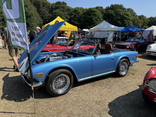 16_7fffcdd338a777ca4f8a2a2a3b70b43a5fa90f82.jpg