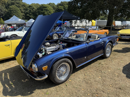 18_63b001e6f28691b88bf1dace327b55a7d0224a83.jpg