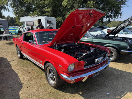 206_dbbf67257625e5087b7eb4fb9c2d3652bc757c61.jpg