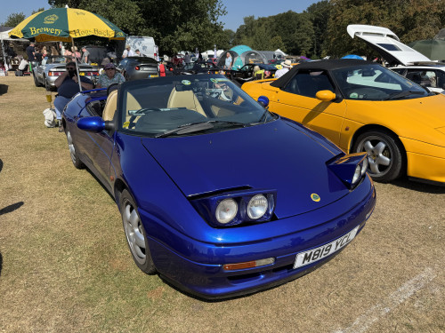 33_558d9f9e15e3871c63a9f76de2cfcd3da9d34dd2.jpg